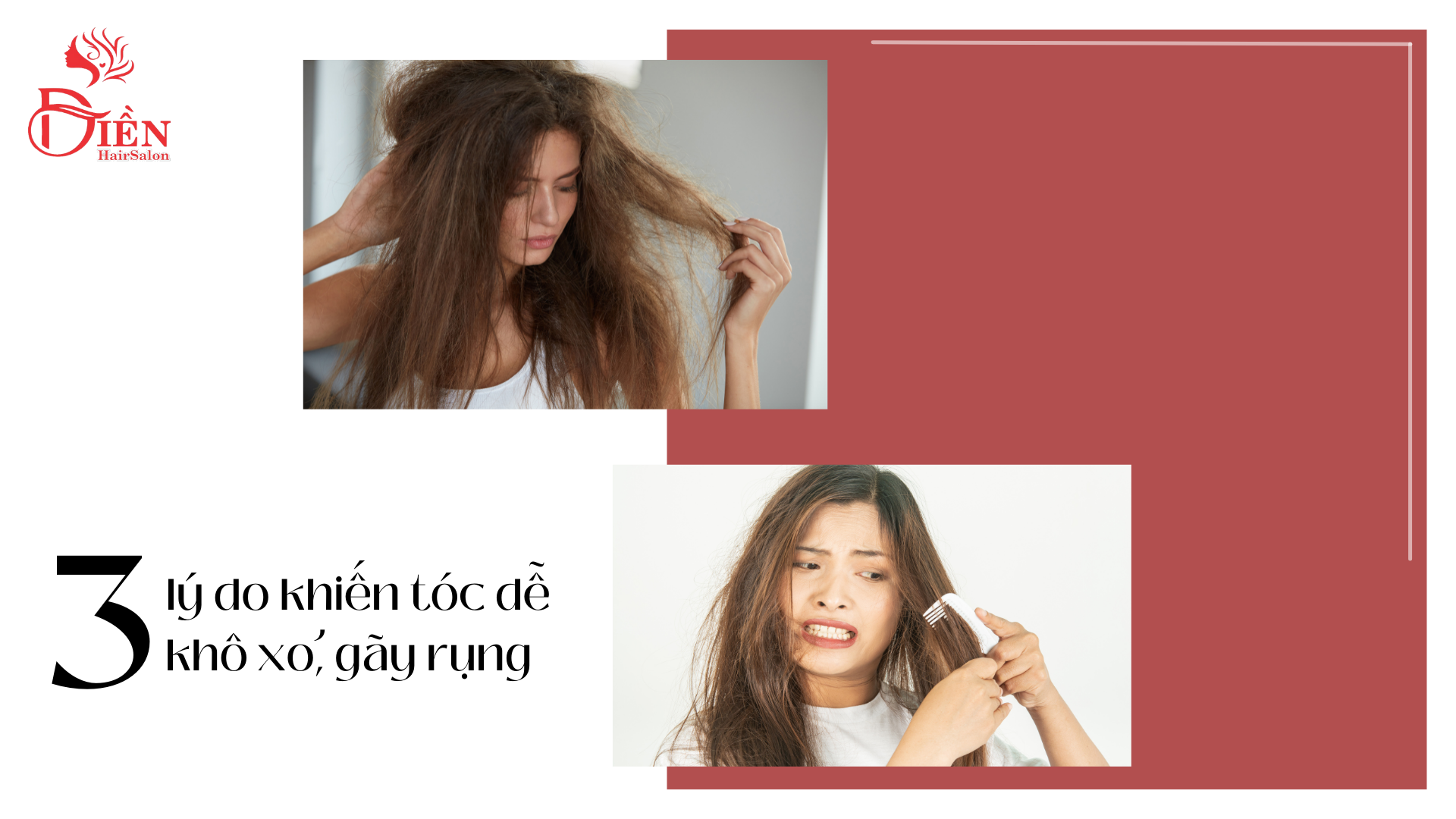3 lý do khiến tóc dễ khô xơ gãy rụng